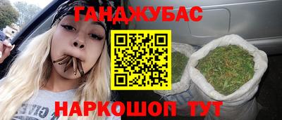 гашик Тула
