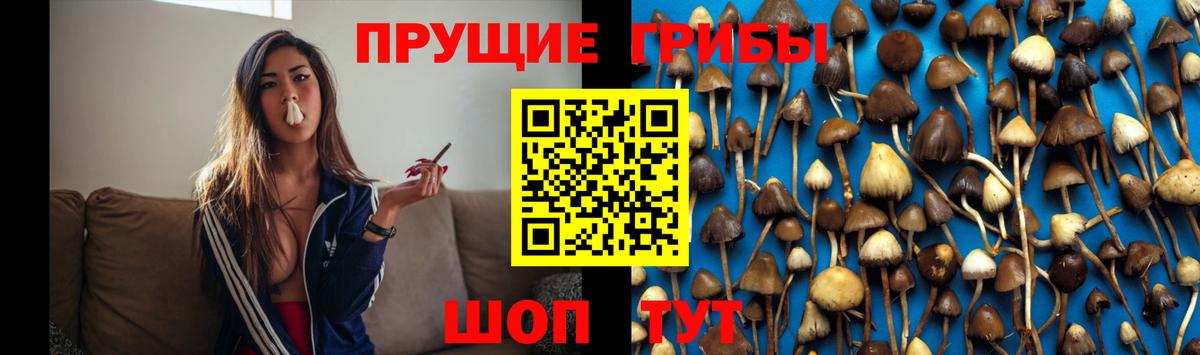 Псилоцибиновые грибы Magic Shrooms Наро-Фоминск